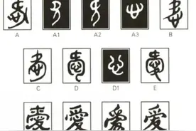 从汉字“爱”的演变看我们不知道的“爱”图片