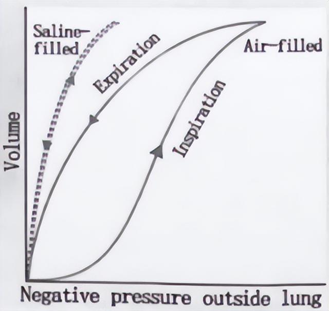 2021年全国中学生生物学联赛试题