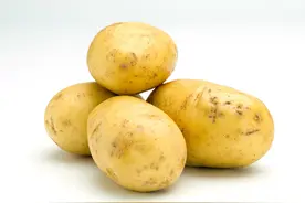 土豆怎么做好吃？推荐5种家常做法，一种比一种解馋，全家都爱图片