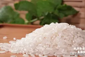 武汉优质农产品——雪玉粳米：一度成为“皇家贡品”的优良大米图片