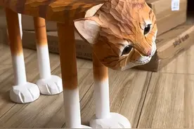 主人送猫形状板凳给喵主子，猫以为见鬼了！这玩意是我吗？图片