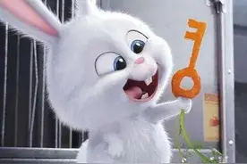 兔年盘点各国的兔子动画图片