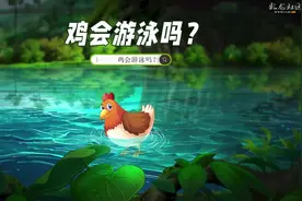 你见过会游泳的鸡吗？#知识创作人#图片