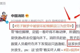 长沙男子睡梦中被银环蛇缠脚，误以为是皮带，卧室里的蛇从哪来？图片