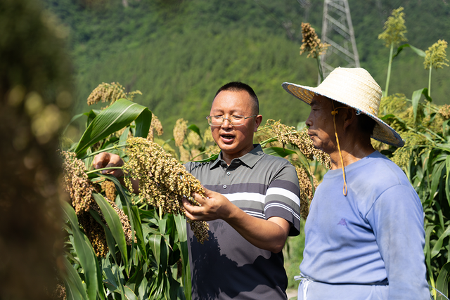 习酒之魂，在这方水土与人文之间｜摄影采风手记
