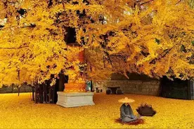 信则有，不信则无？80%的人都没搞清楚因缘果报的事实真相图片