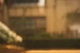 散文：年华虚度，更觉人生如梦图片
