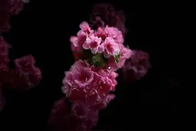 体式中的冥想图片