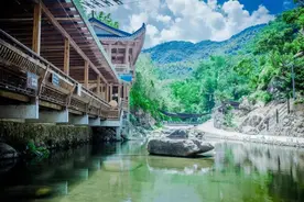 长假周边何处游，五都桑葚压枝头……图片