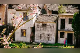 30个智慧的成语，原来都出自《诗经》图片