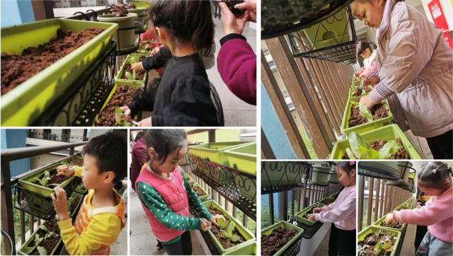 四川省民生研究会新媒体中心-官网