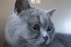 婚后买房，房本上登记了我们夫妻两人的名字，丈夫去世后前妻的子女有资格分房产吗？图片