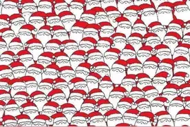 考一考你的眼力图片