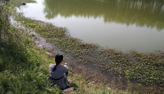 使用钓鱼添加剂不要只盯着小药，这些生活常见品效果更好