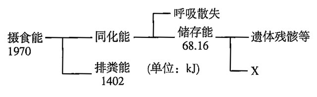 河南名校！省实验中学2021-2022学年高三上学期期中生物试题答案