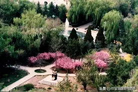 我的兰州大学生活图片