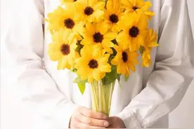 为什么你的向日葵总是养不开？看完这篇你就明白了图片