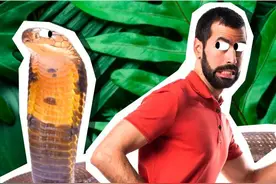 惊险！贵州大蛇吞小蛇，消防员活捉装入同一袋子，可却不打了？图片