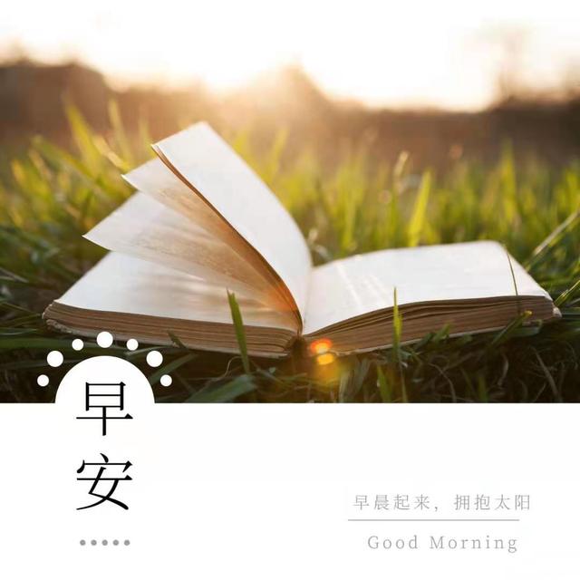 开心表达心情的句子简短,快乐の文案|眼里是阳光,笑里是坦荡 - 冷求网