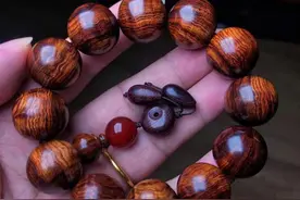 太气人了！这8种木当成海南黄花梨买回家，专家一看：一堆垃圾！图片