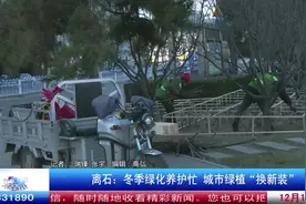 吕梁：冬季绿化养护忙 城市绿植“换新装”图片