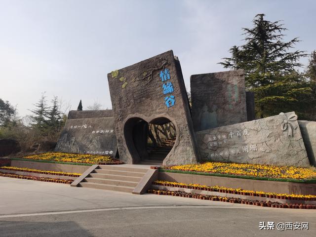 “大”项目化思路推进大运河国家文化公园建设——WCCO调研徐州宿迁淮安纪实