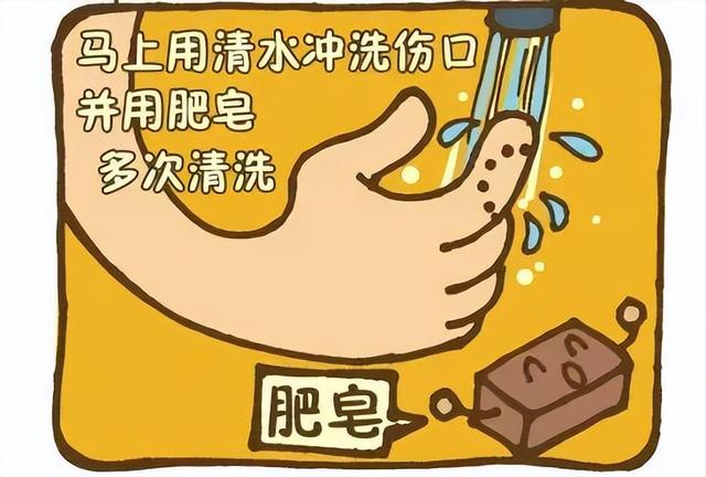 孩子被狗轻微抓伤该怎么办？快收好这份急救指南