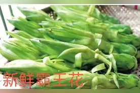 返寻旧味 • 里水的霸王花乡味图片