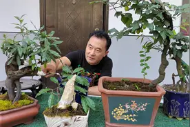 一个喜欢玩石头的男人，是有故事的男人…图片