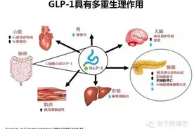 两种殊途同归的降糖药：GLP-1受体激动剂和DPP-4抑制剂图片