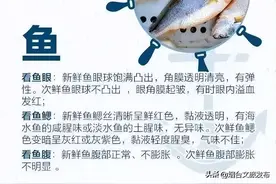 烟台“开海”啦！肥美海鲜怎么挑？拿好这份攻略吧~图片