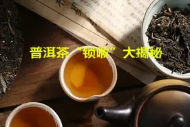 一次说清 普洱茶“锁喉”的原因以及解决的小对策图片