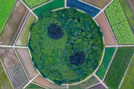 八卦的符号就是八种天象、八个字，看懂这个口诀，你也能掐指一算图片