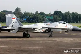 世界空军志：印度尼西亚空军图片