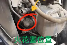 雅马哈巧格通病-发动机的心脏图片