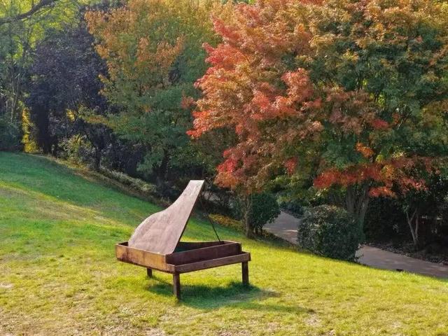 目测要火！烟台这座小城最近好看得离谱