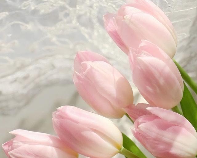 �ʺϷ�����Ȧ�ķ�Χ���İ�