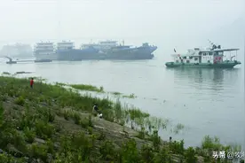 三峡水库蓄水近20年，全长600多公里，为何不能“圈水养鱼”？图片