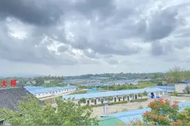 生猪吃上“金融饲料”，养、卖、买、吃都舒心图片