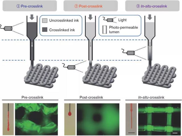 光固化3D生物打印技术的新进展
