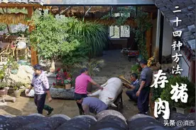 建议收藏！最全的云南年猪腌腊，11个部位的24种储存方法！图片