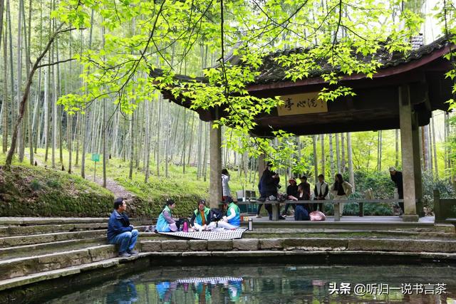 每天1分钟学习茶知识（21）购买西湖龙井时容易入的坑