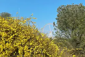 不负春光不负卿！三八妇女节到动物园赏花看动物啦！图片