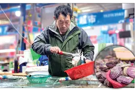 初冬，烟台海鲜市场上肥美的海蛎子扇贝堆成了小山图片