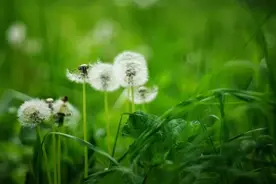 男人不主动联系你了，但也不说分手，多半有两个原因图片