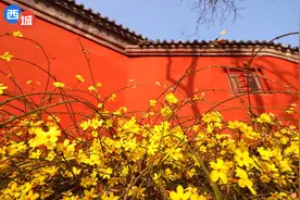 打卡鼓楼西大街，一步一景 一景一故事图片