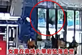 画面揪心！游乐园6岁女童攀岩坠亡，母亲现场呼救！官方这样回图片