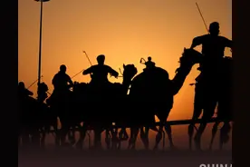 迪拜创业日记：收到小费是金块图片