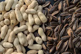 瓜子和花生，一个增肥，一个减肥，看看你平时吃对了吗？图片