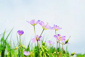 在爱情里，男人想要的不是女人对他好，而是三种感觉图片